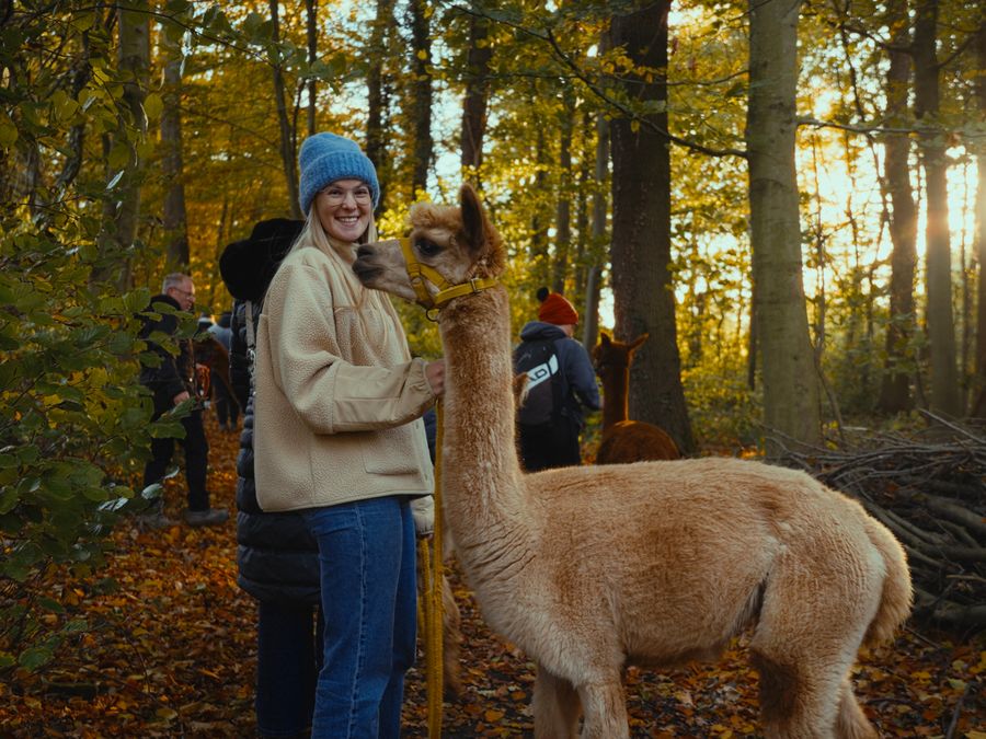 Junge Frau mit einem Alpaka im herbstlichen Wald